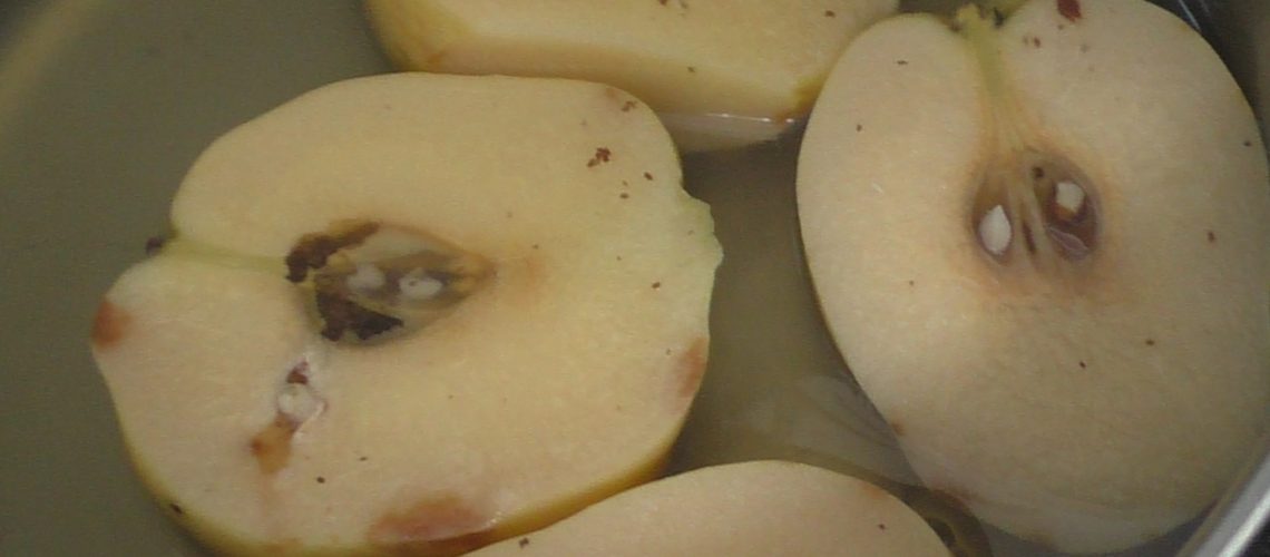 חבוש בסיר ב
