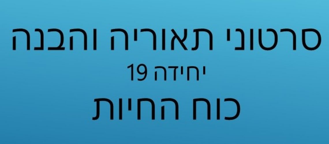 כותרת חדשה כותרת חדשה