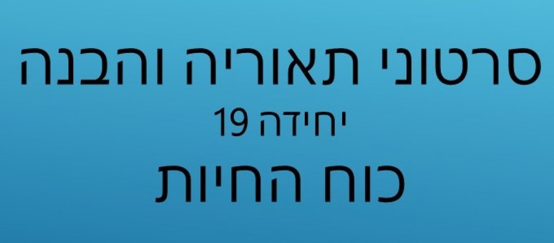 כותרת חדשה