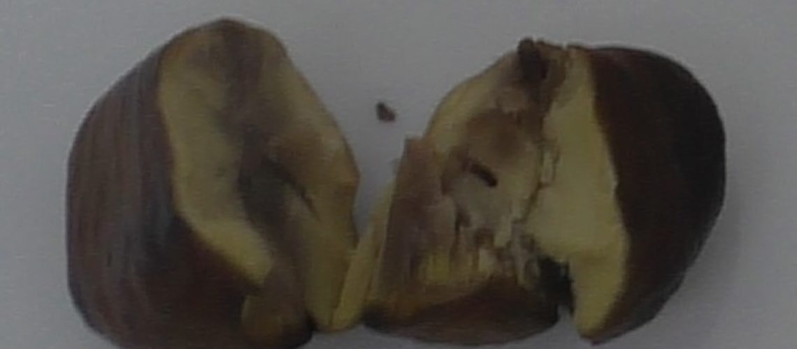 ערמונים 3